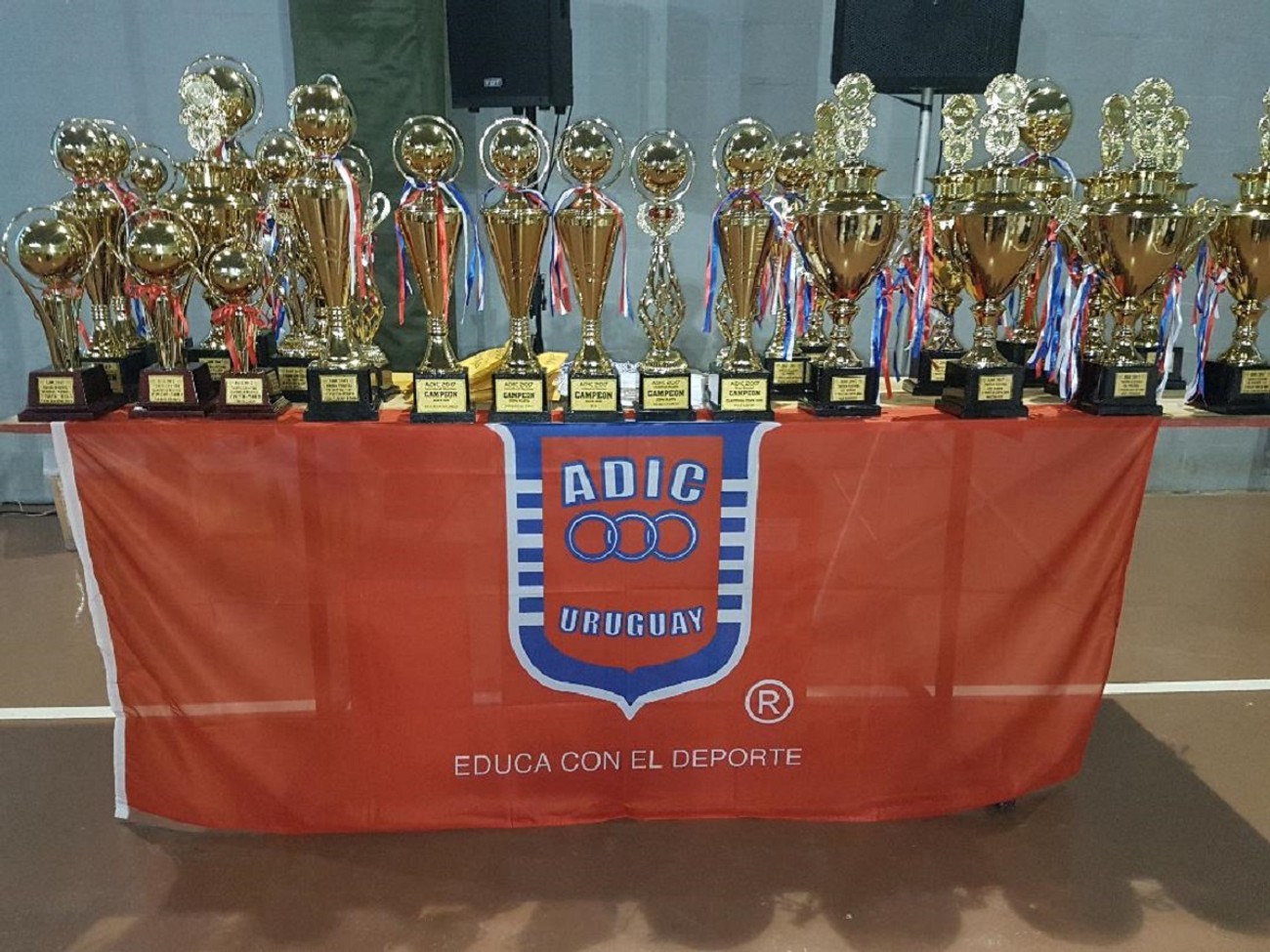 Los campeones de los torneos de alumnos de ADIC Los campeones de los torneos de alumnos de ADIC