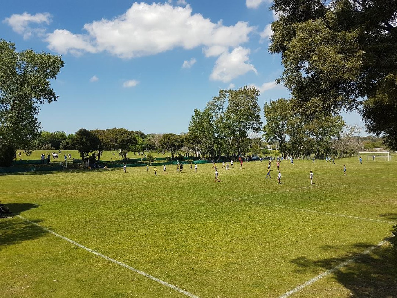 Calendario de reuniones para las competencias de fútbol, básquetbol, handball, vóleibol y futsal de primaria y secundaria para la temporada 2025