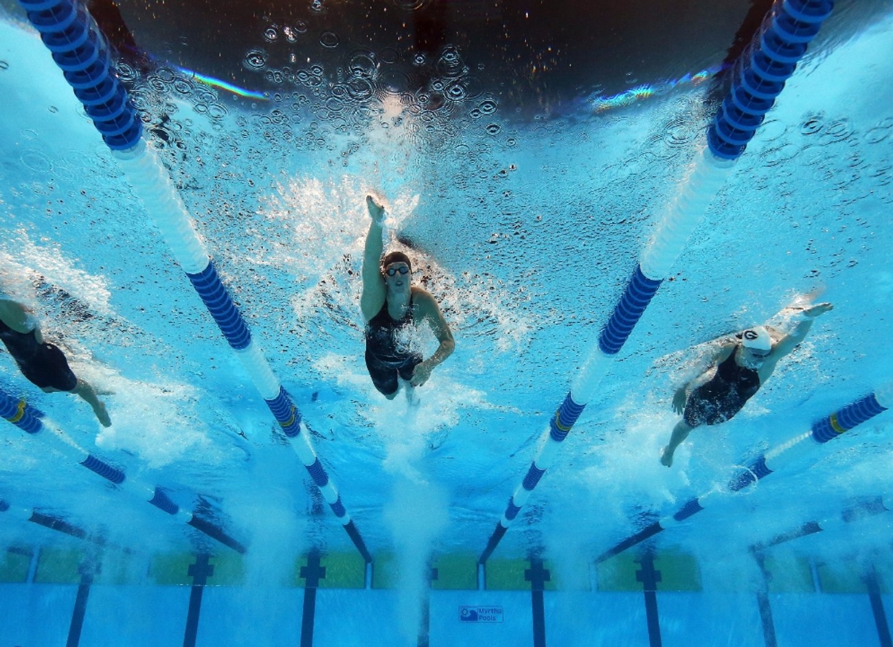 La natación regresa a ADIC La natación regresa a ADIC