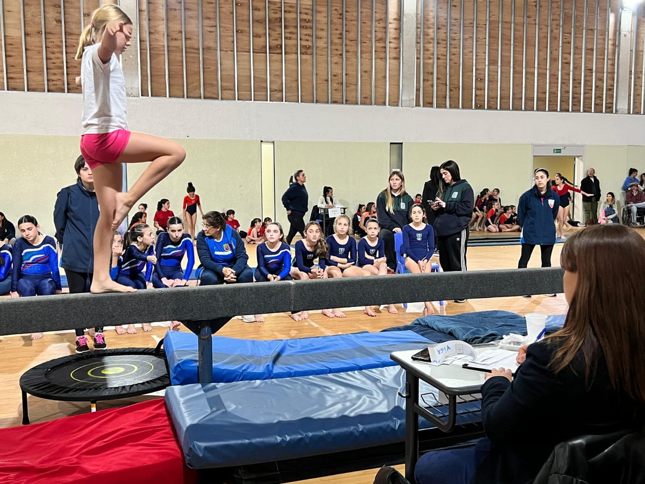 Mirá el programa de gimnasia de ADIC para los niveles 3, 4, 5 y 6 previsto para el sábado 21 de junio en el Colegio Alemán