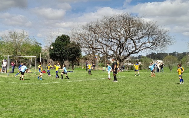 Fútbol de primaria: tiene fecha de inicio, no habrá tabla de posiciones y se estableció la forma de disputa