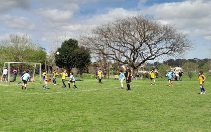 Fútbol de primaria: tiene fecha de inicio, no habrá tabla de posiciones y se estableció la forma de disputa