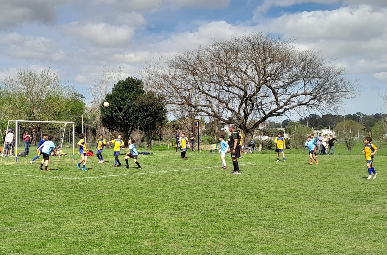 Fútbol de primaria: tiene fecha de inicio, no habrá tabla de posiciones y se estableció la forma de disputa