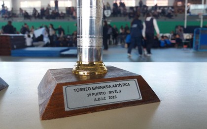 Es tiempo de Integración: el domingo arranca la gimnasia 2017