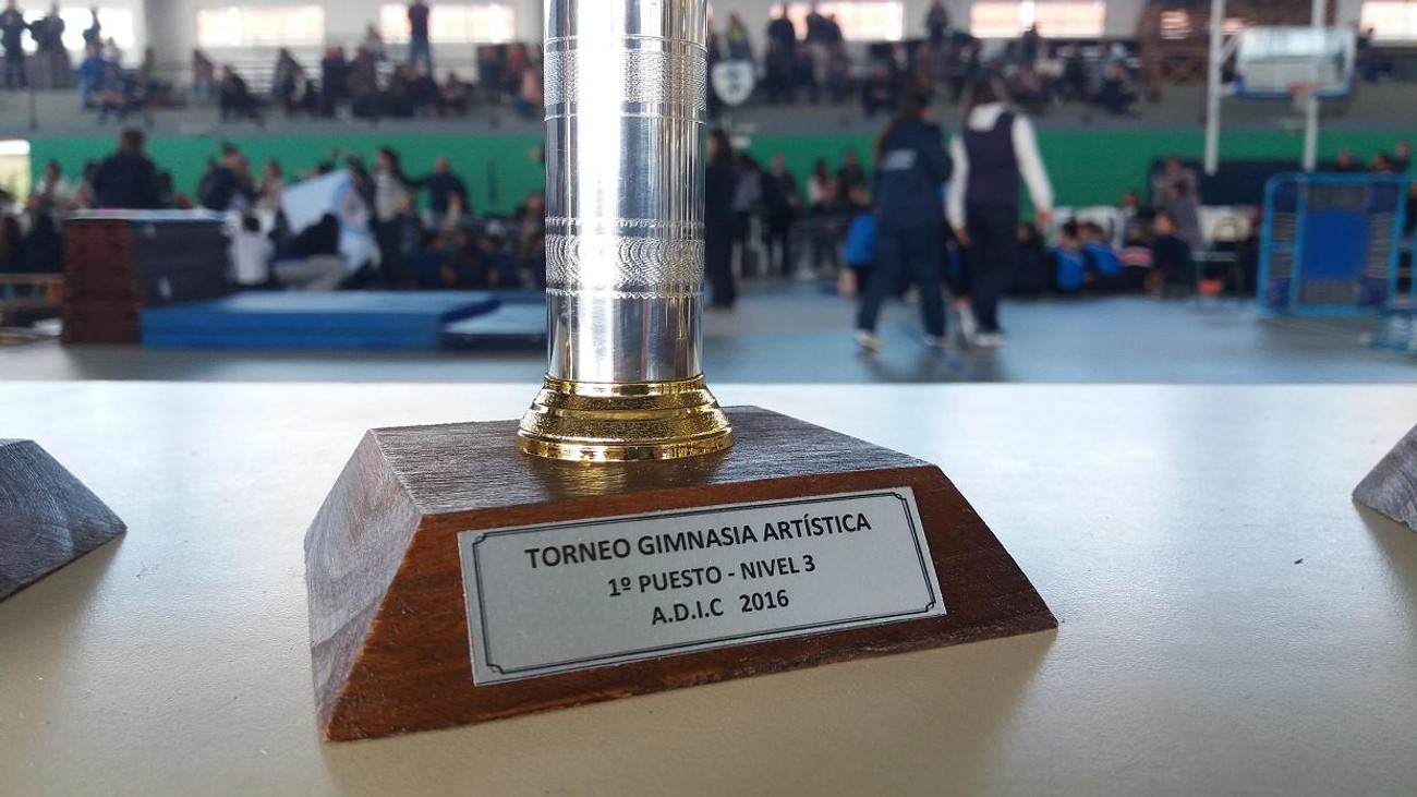 Es tiempo de Integración: el domingo arranca la gimnasia 2017