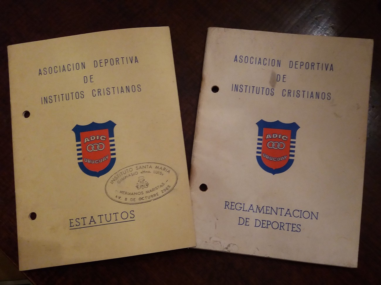 Los orígenes, el nacimiento y los primeros 20 años de ADIC Los orígenes, el nacimiento y los primeros 20 años de ADIC